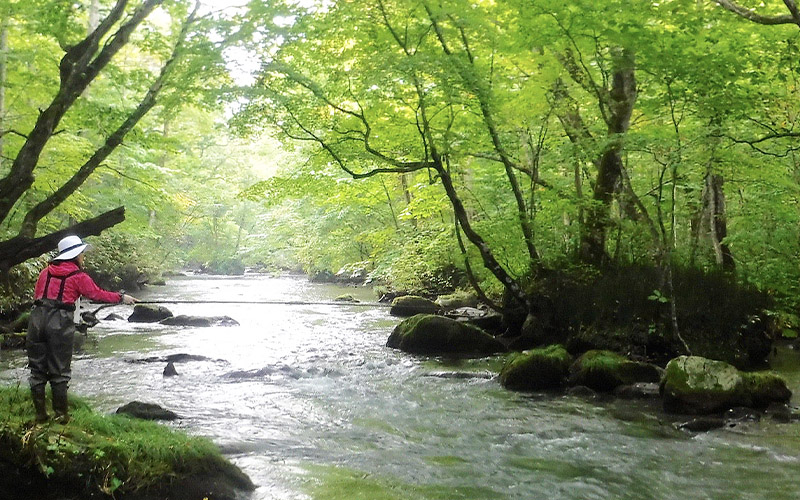 渓流釣り（4時間コース）